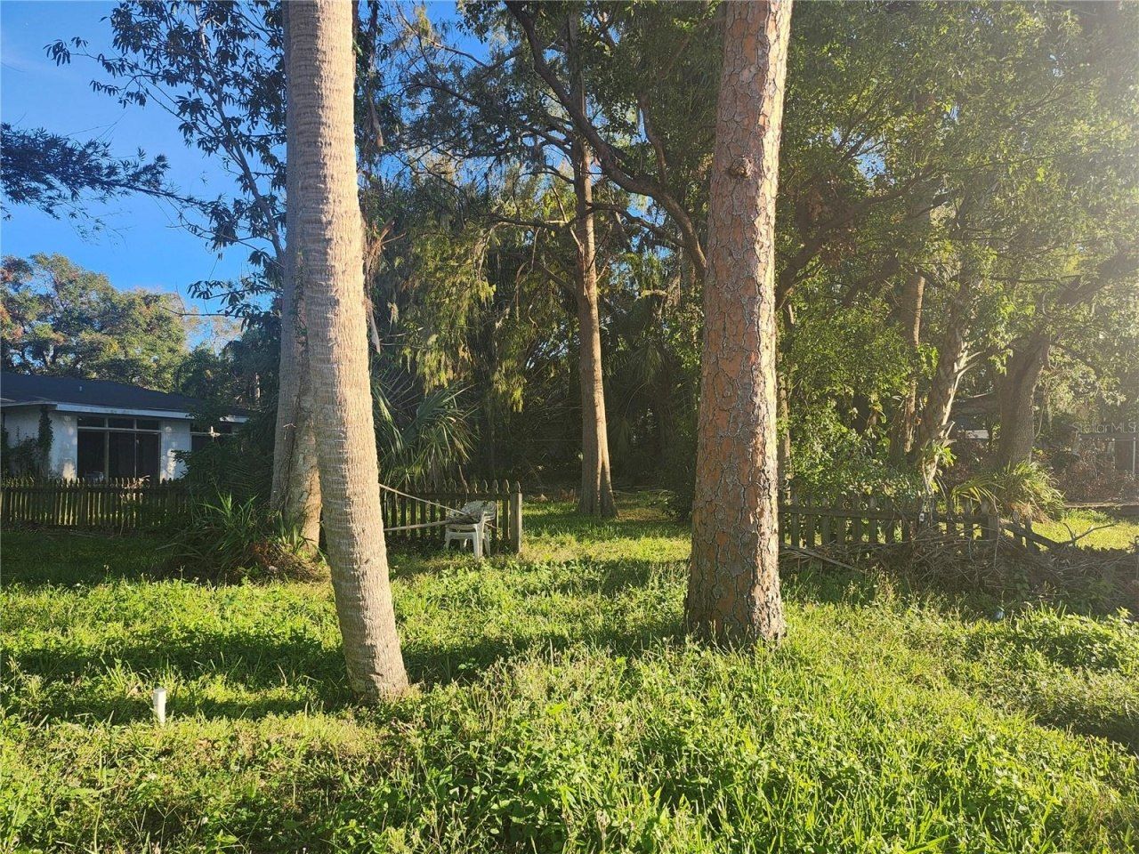 7222 N Ola Avenue, Tampa, FL 33604 Photo