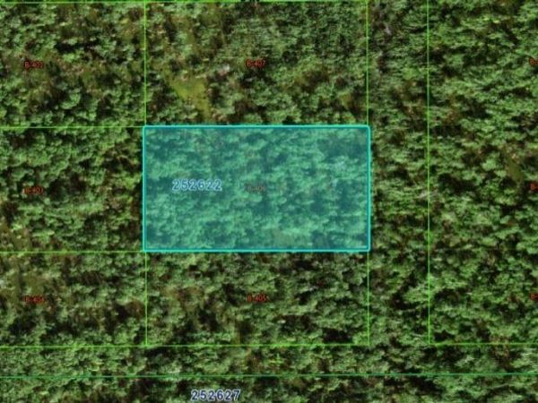 COMMONWEALTH AVE N, POLK CITY, FL 33868