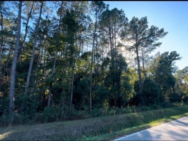 0 Higgins Road, Mobile, AL 36619