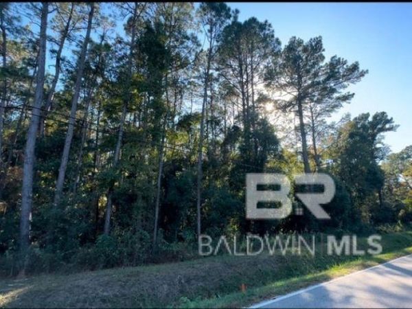 0 Higgins Road, Mobile, AL 36619