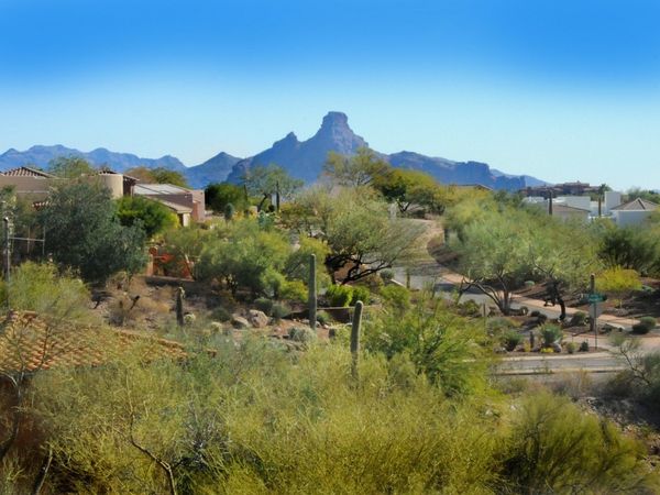 11664 N SUNSET VISTA Drive, Unit 45, Fountain Hills, AZ 85268