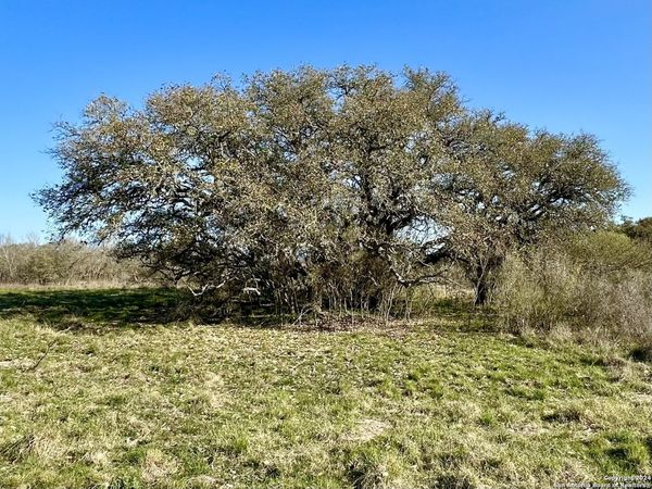 3 Utopia Forest, Dhanis, TX 78850