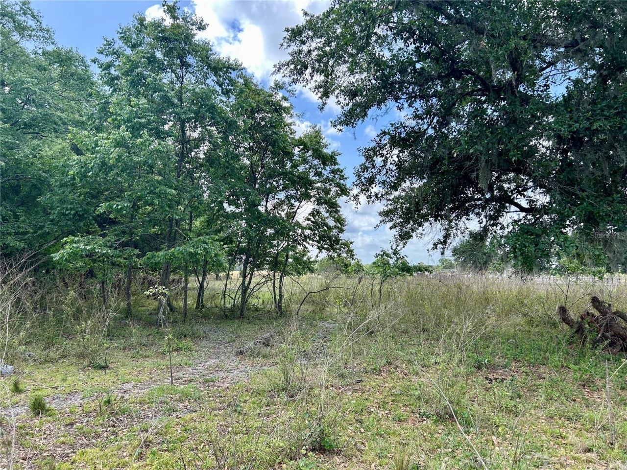 Sr-64, Zolfo Springs, FL 33890 Photo