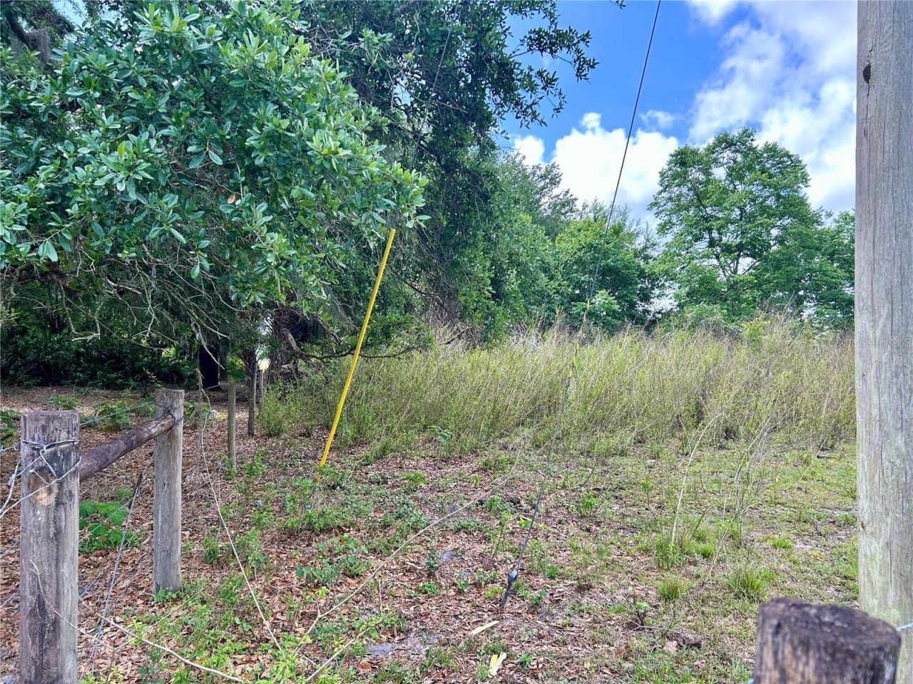 Sr-64, Zolfo Springs, FL 33890 Photo