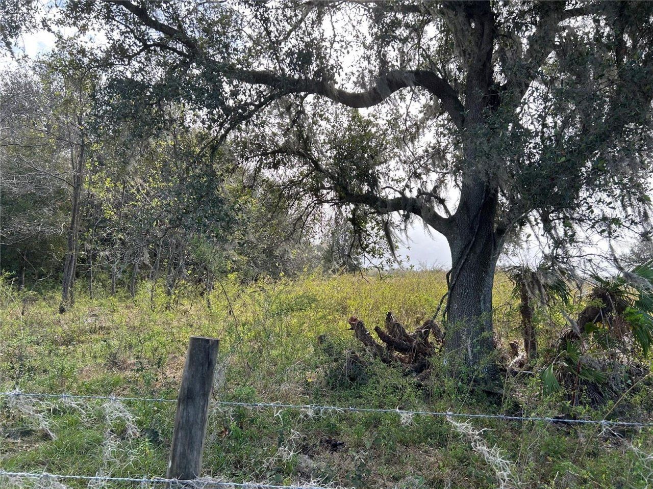 Sr-64, Zolfo Springs, FL 33890 Photo