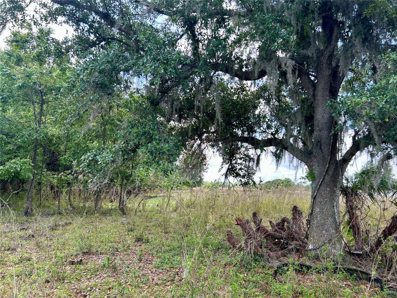 Sr-64, Zolfo Springs, FL 33890 Photo