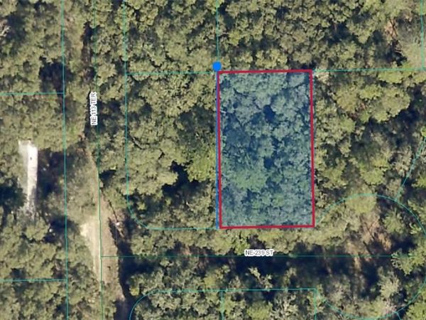 00 NE 239TH STREET, FORT MC COY, FL 32134