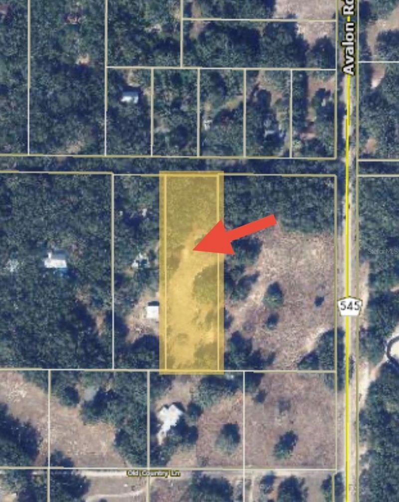 17144 Phil C Peters Road, Winter Garden, FL 34787 Photo