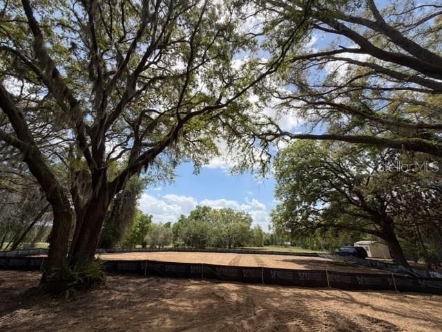 17144 Phil C Peters Road, Winter Garden, FL 34787 Photo