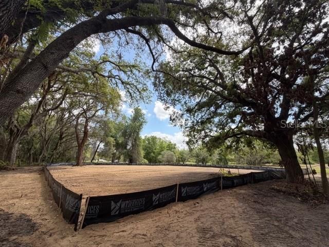 17144 Phil C Peters Road, Winter Garden, FL 34787 Photo