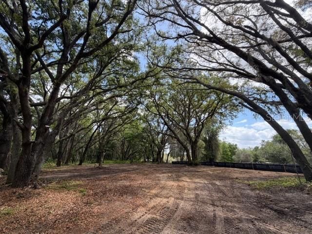 17144 Phil C Peters Road, Winter Garden, FL 34787 Photo