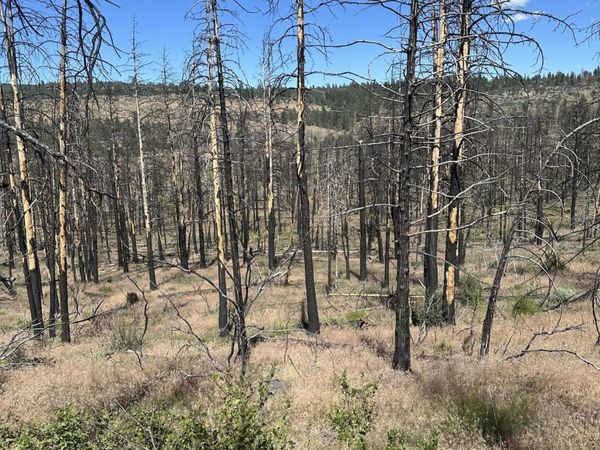 Wren Dr, Unit Lot 11, Bonanza, OR 97623