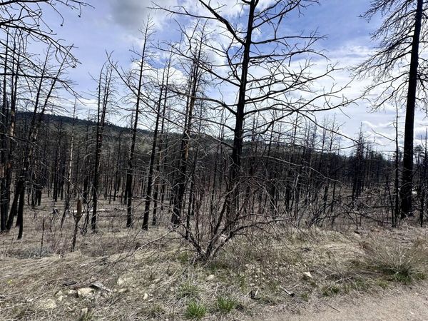 Wren Dr, Unit Lot 11, Bonanza, OR 97623