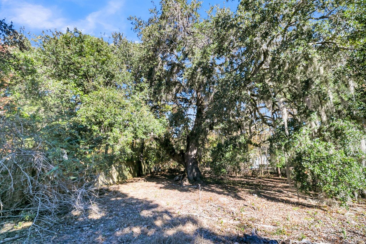 1410 Jefferson Road Photo 6