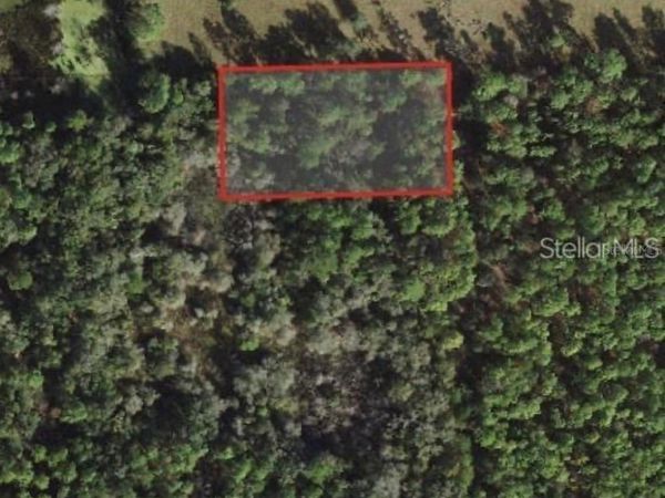 5230 N WHETSTONE POINT, CRYSTAL RIVER, FL 34428