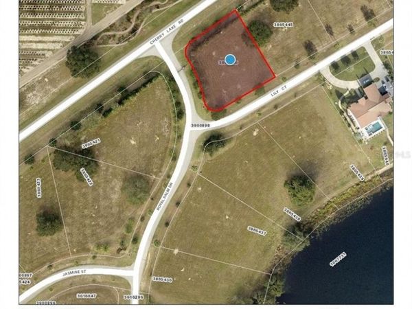 17200 ROYAL PALM DRIVE, GROVELAND, FL 34736