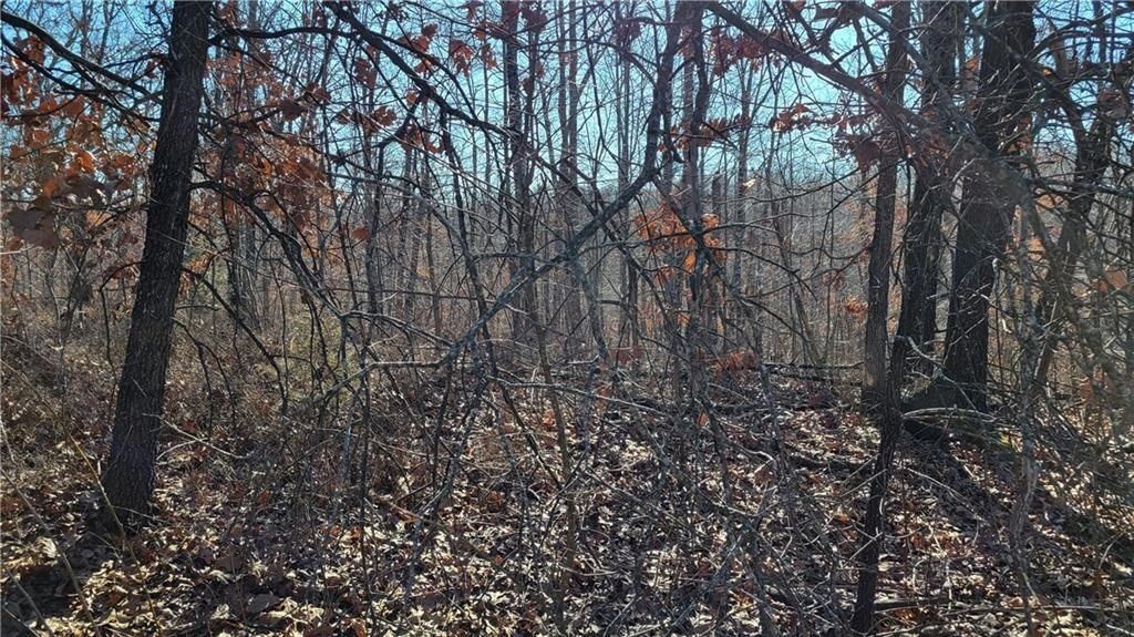 Maidstone Lane, Bella Vista, AR 72714 Main Photo