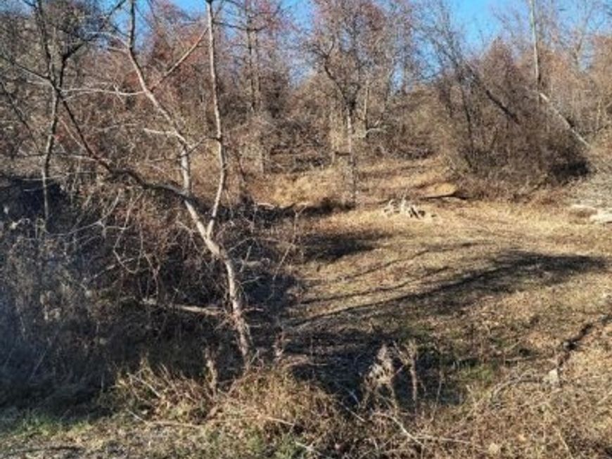 0 W Philadelphia, Boyertown, PA 19512 Main Photo