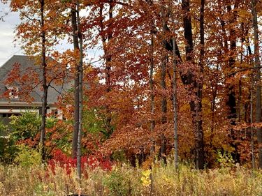 701 Shawnee Woods Road, Medina, MN 55340