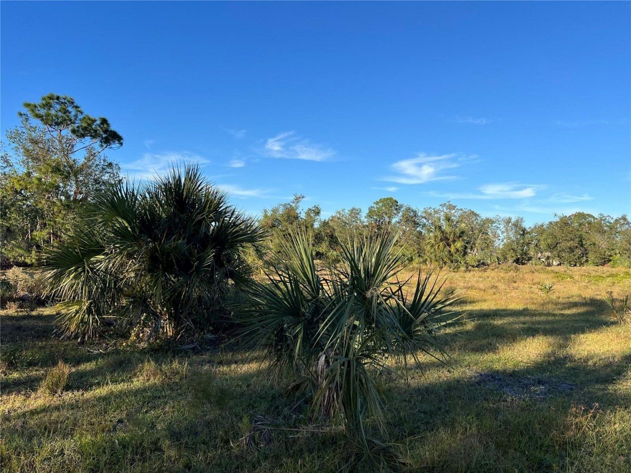 Leon Drive, Ellenton, FL 34222 Photo