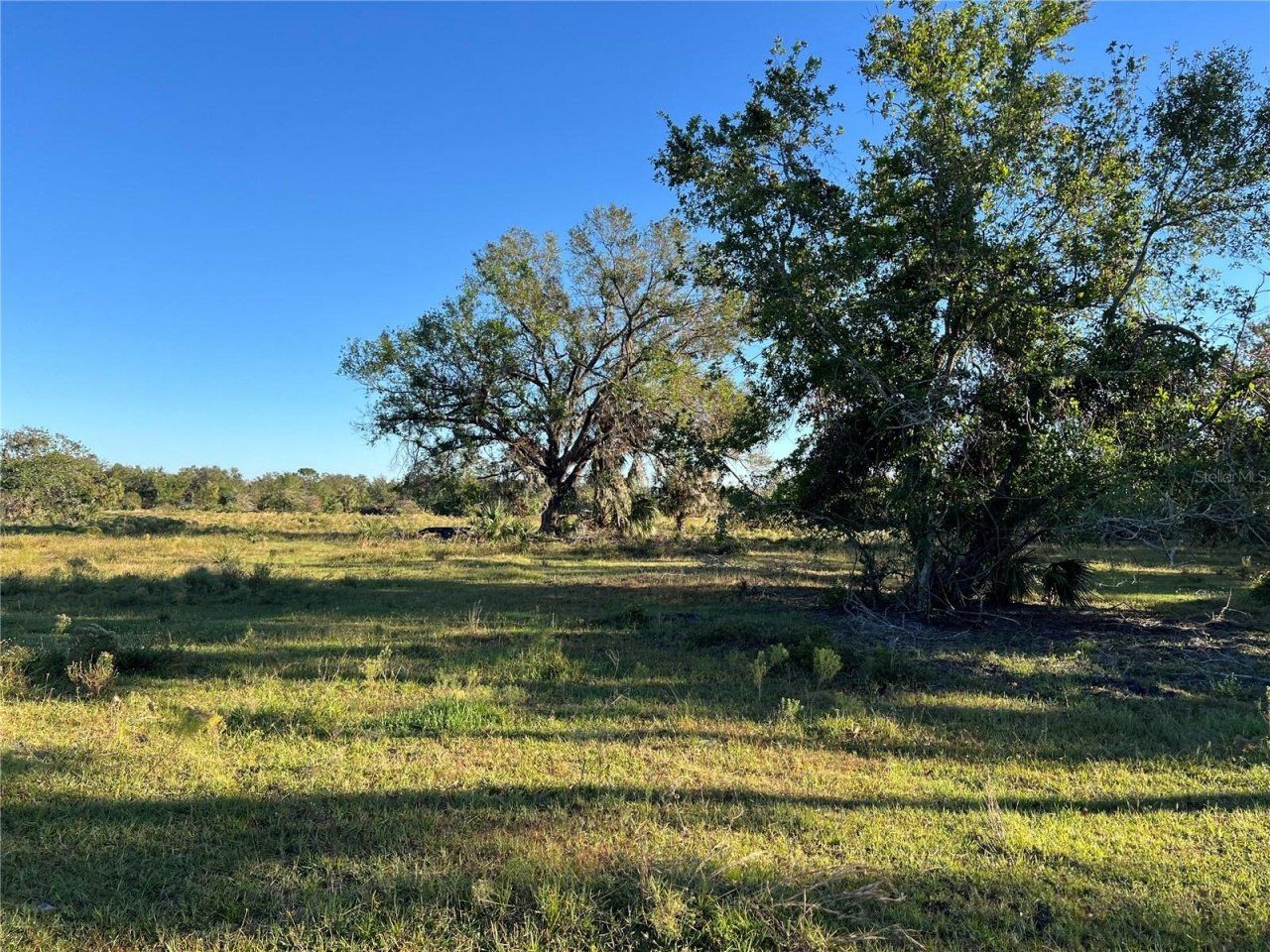 Leon Drive, Ellenton, FL 34222 Photo