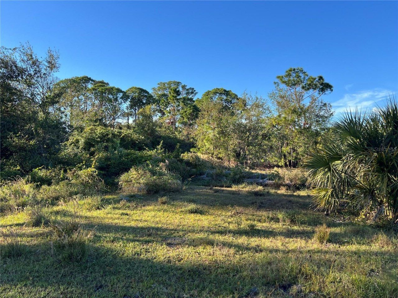 Leon Drive, Ellenton, FL 34222 Photo