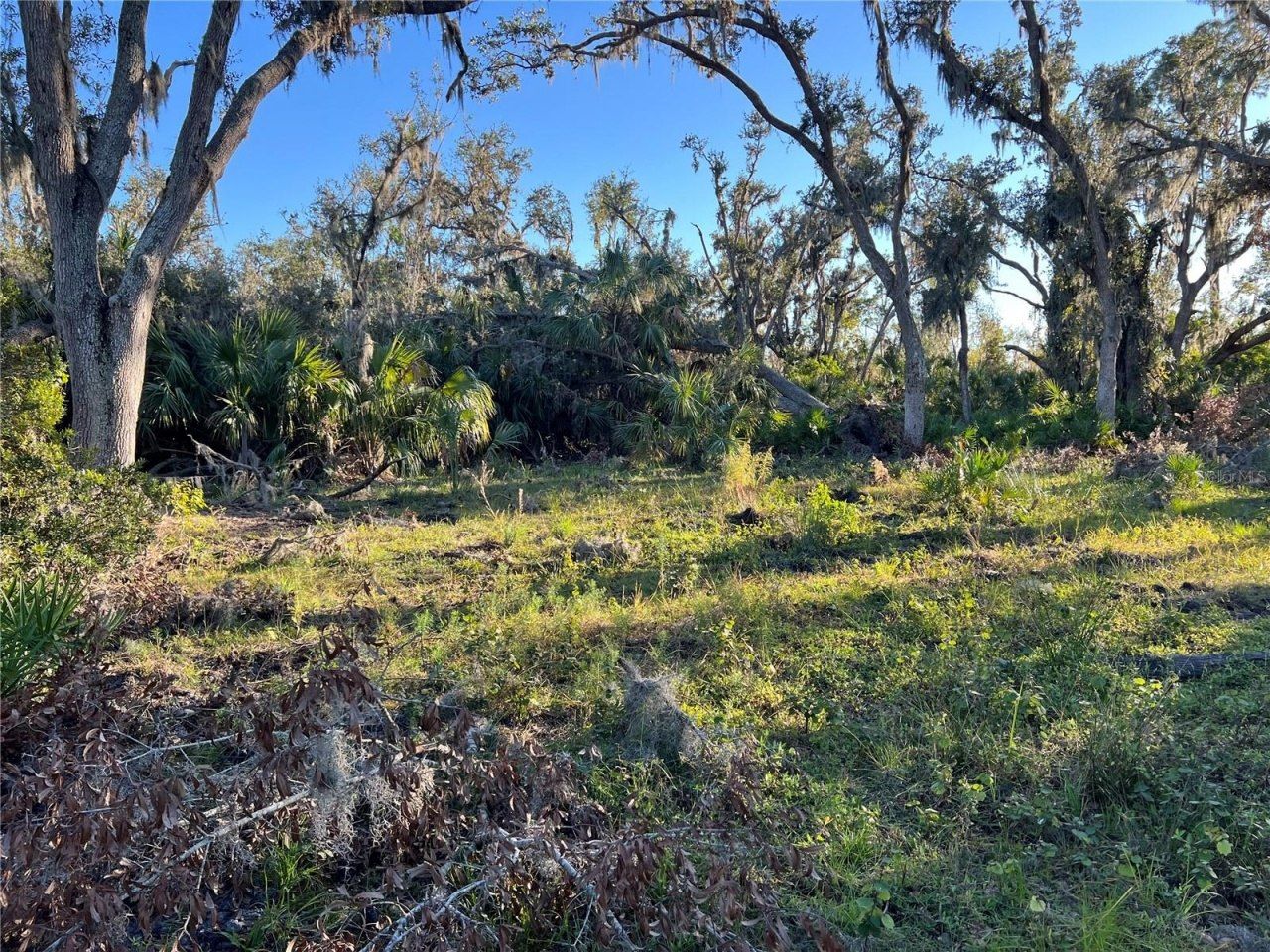 Leon Drive, Ellenton, FL 34222 Photo