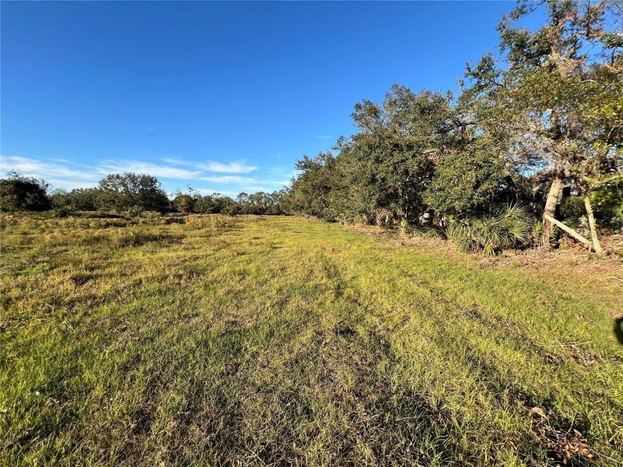 Leon Drive, Ellenton, FL 34222 Photo