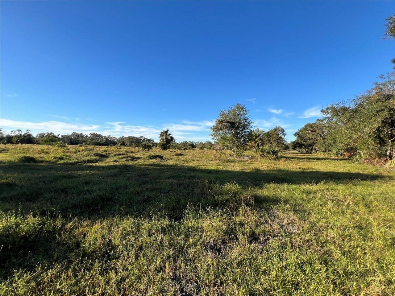 Leon Drive, Ellenton, FL 34222 Photo