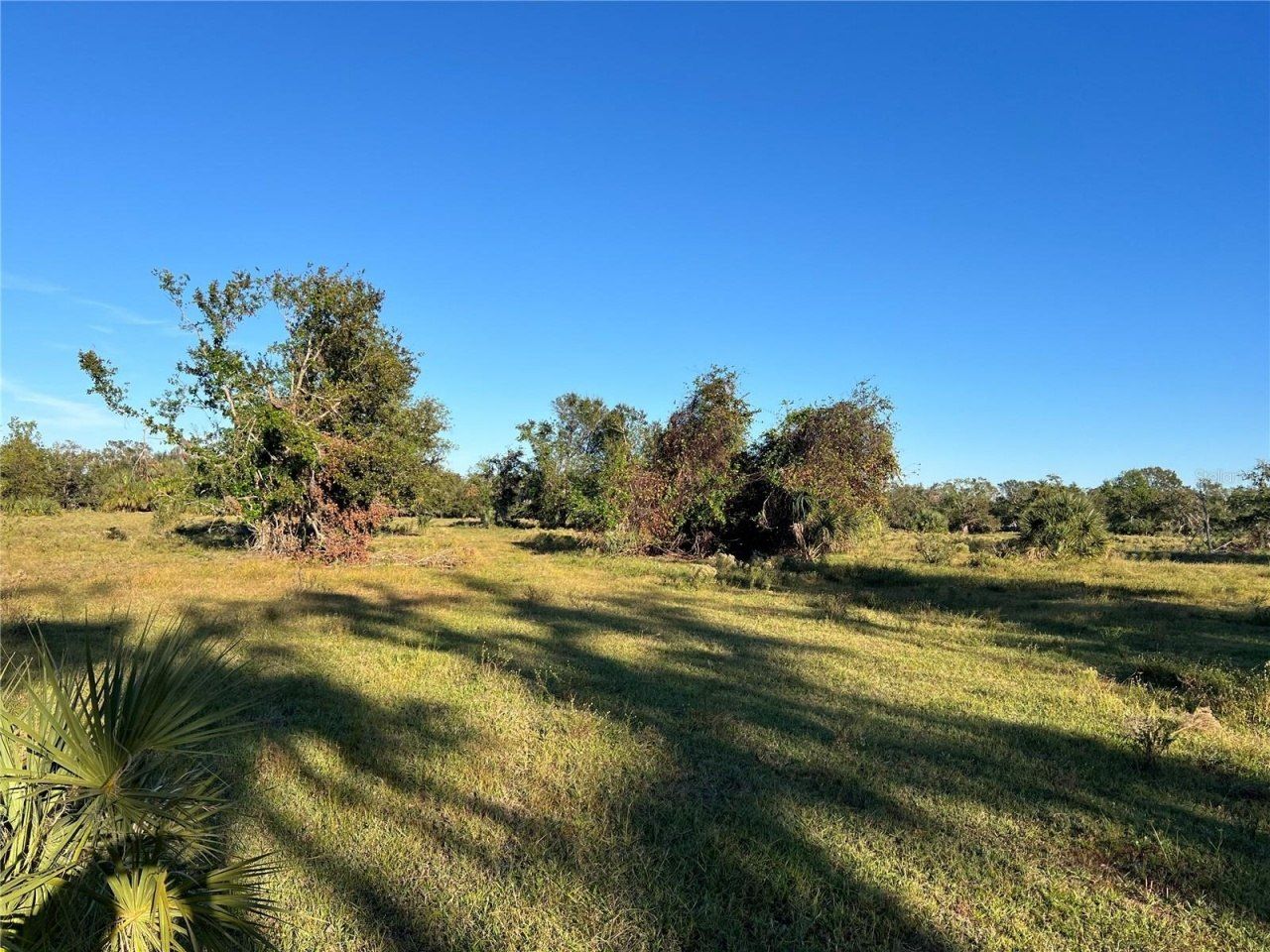 Leon Drive, Ellenton, FL 34222 Photo