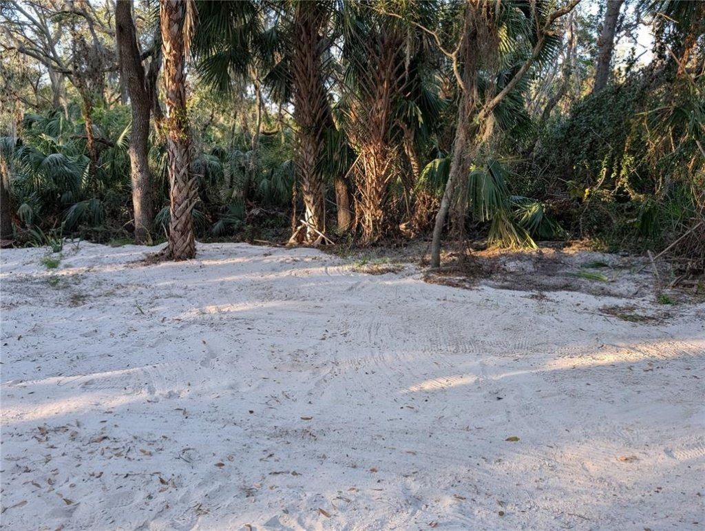 8839 Richmond Street, Gibsonton, FL 33534 Photo