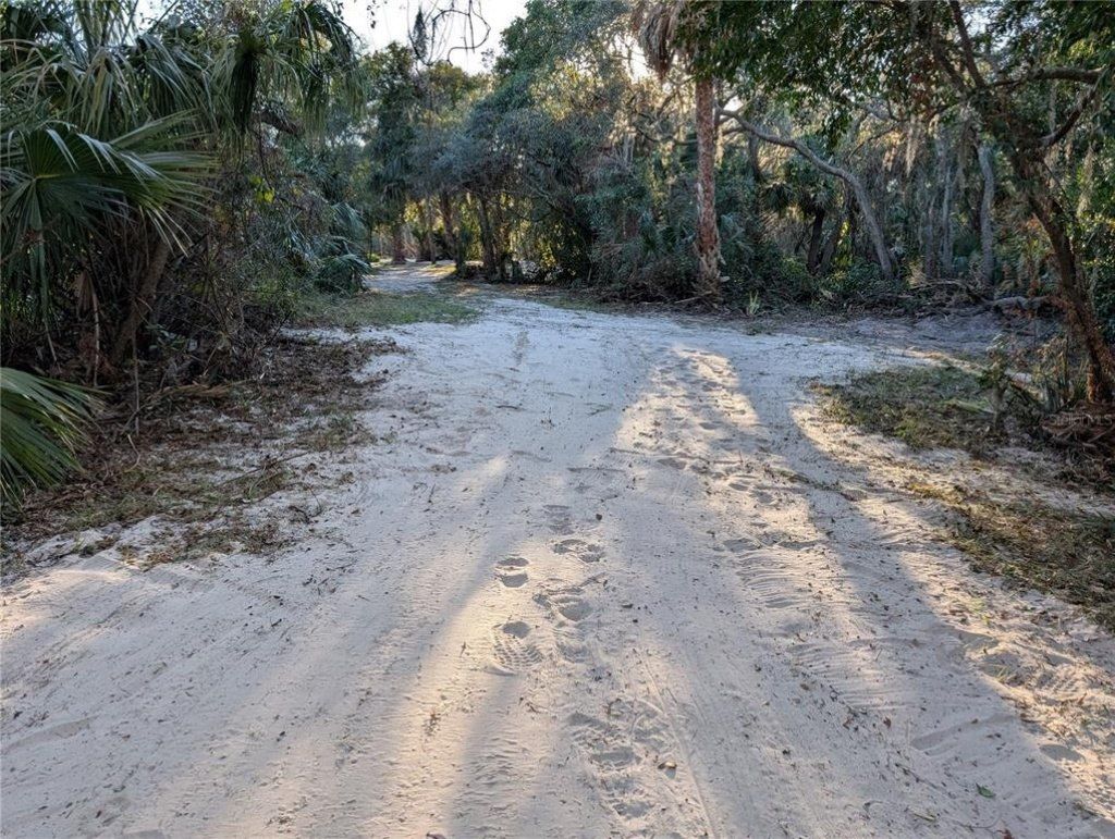 8839 Richmond Street, Gibsonton, FL 33534 Photo