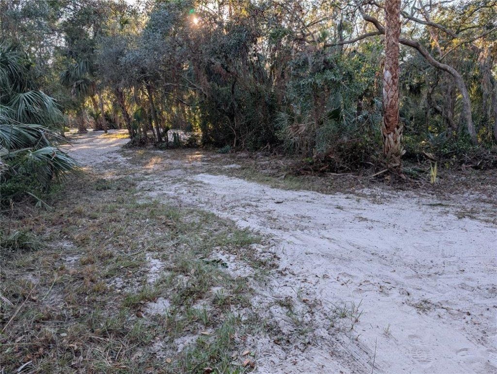 8839 Richmond Street, Gibsonton, FL 33534 Photo