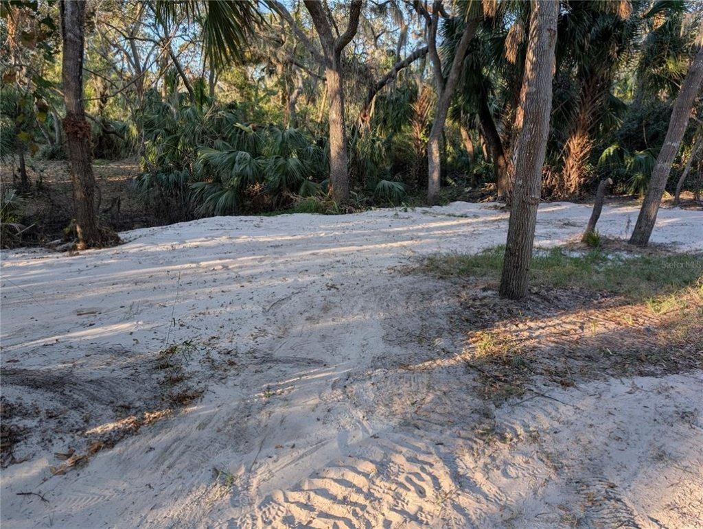 8839 Richmond Street, Gibsonton, FL 33534 Photo