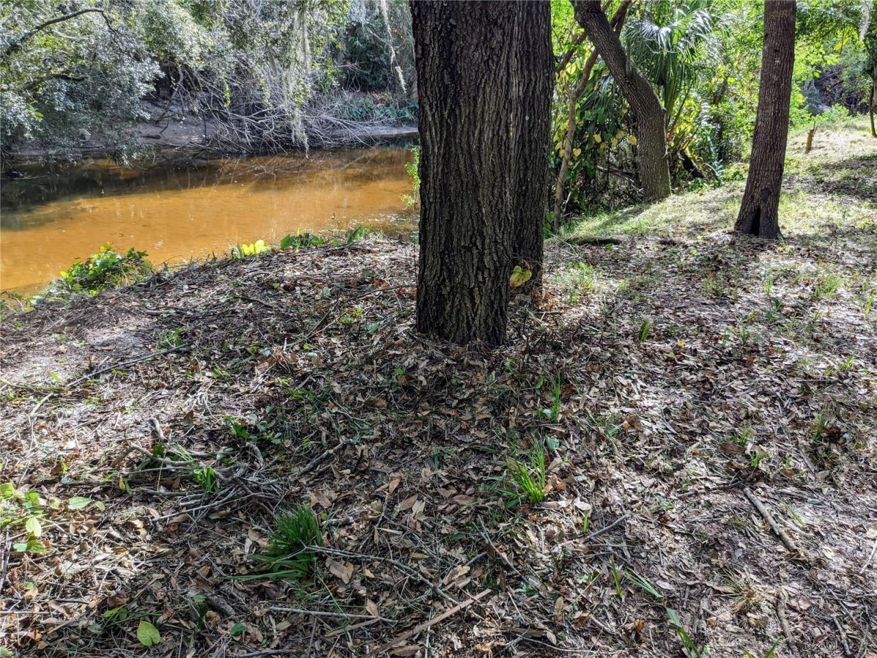 8839 Richmond Street, Gibsonton, FL 33534 Photo