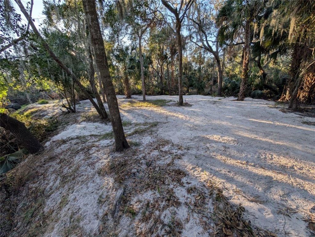 8839 Richmond Street, Gibsonton, FL 33534 Photo