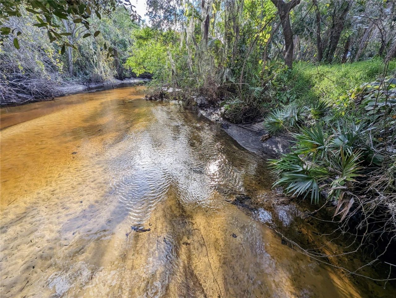 8839 Richmond Street, Gibsonton, FL 33534 Photo