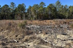 940 Fauling Road photo 4