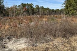 940 Fauling Road photo 4