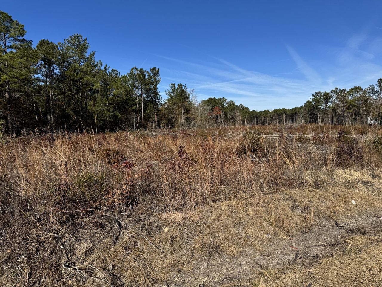 940 Fauling Road Photo 6