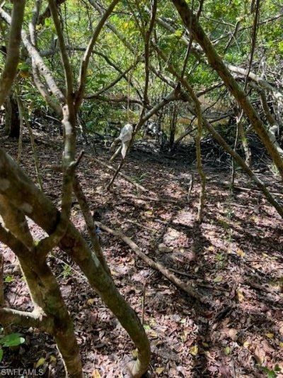 0 No Access Road, Everglades City, FL 34139 Photo