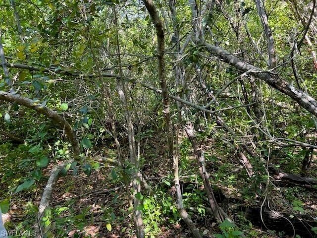 0 No Access Road, Everglades City, FL 34139 Photo