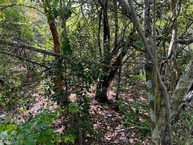 0 No Access Road, Everglades City, FL 34139 Photo