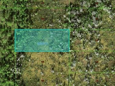 OLD GRADE RD, POLK CITY, FL 33868