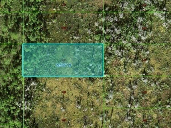 OLD GRADE RD, POLK CITY, FL 33868