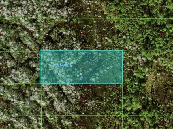 OLD GRADE RD, POLK CITY, FL 33868