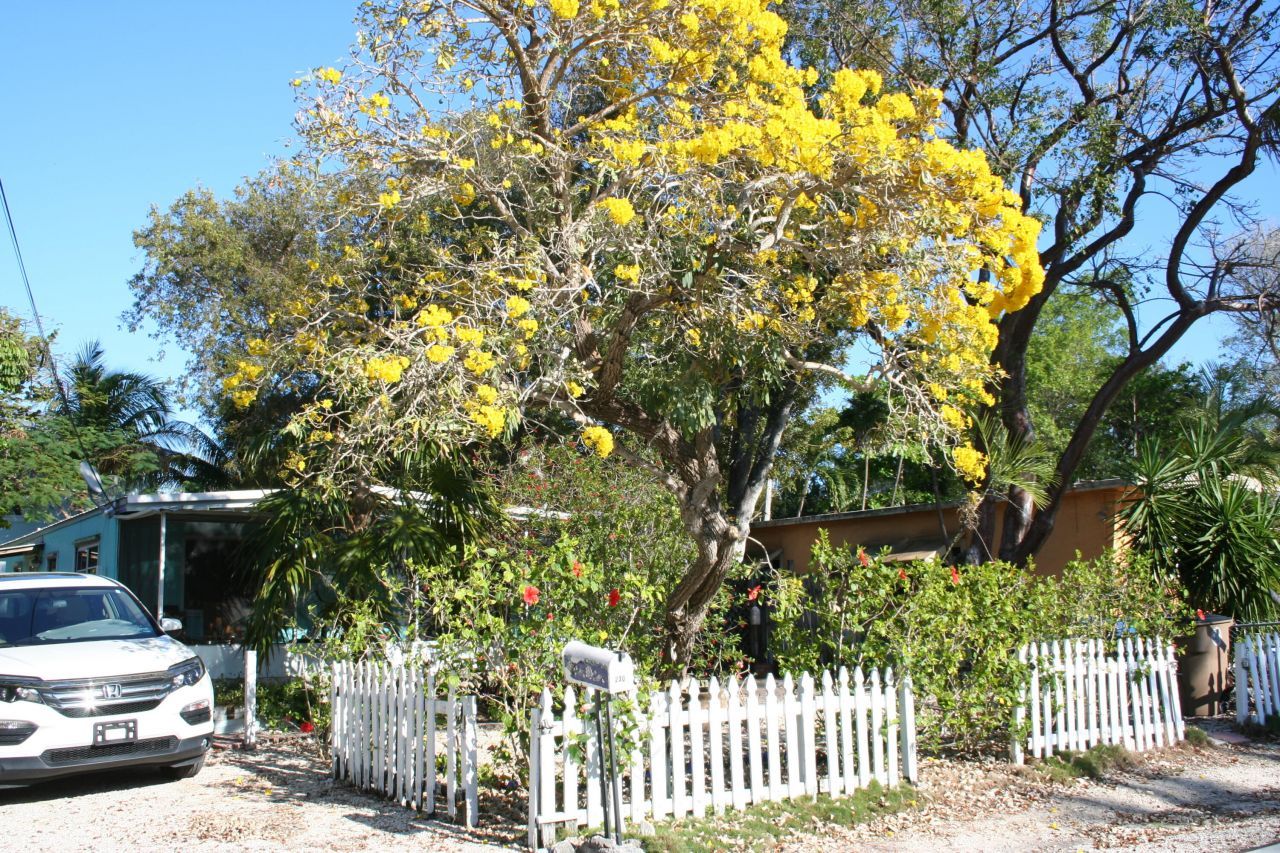 230 Antigua Road, Tavernier, FL 33070 Photo