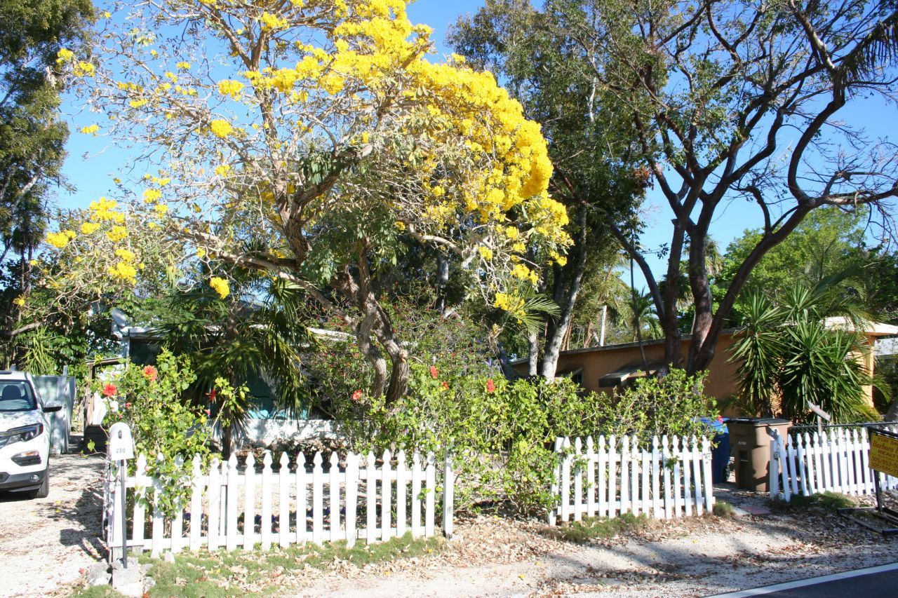 230 Antigua Road, Tavernier, FL 33070 Photo