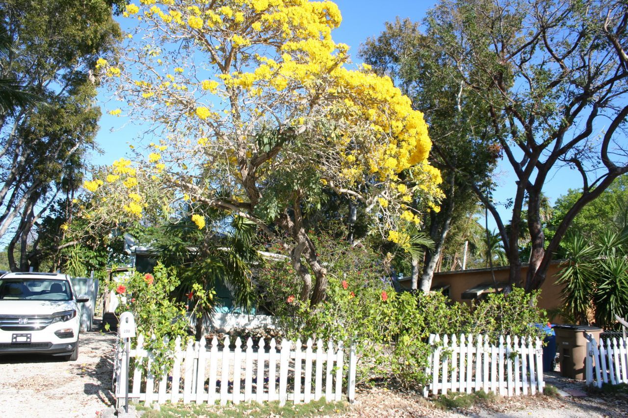 230 Antigua Road, Tavernier, FL 33070 Photo