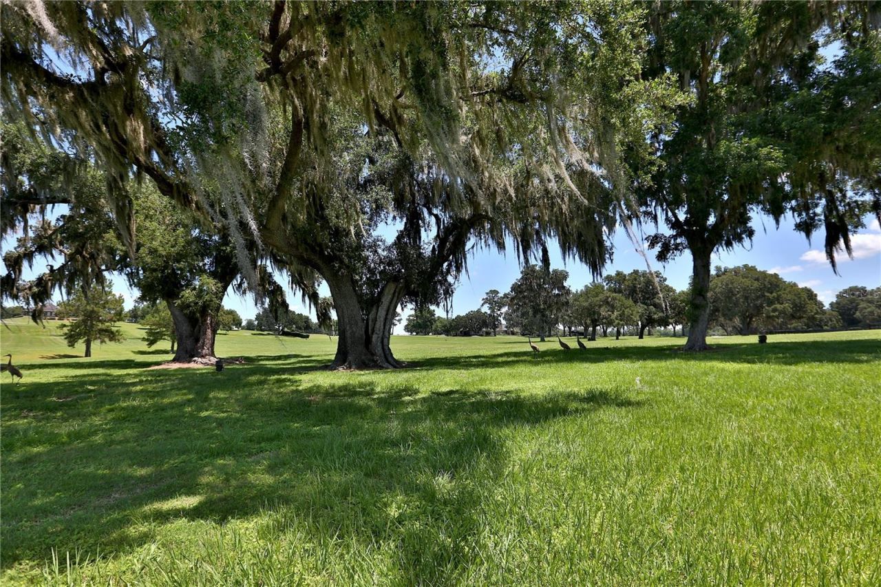 6800 SE 193rd Street, Micanopy, FL 32667 Photo